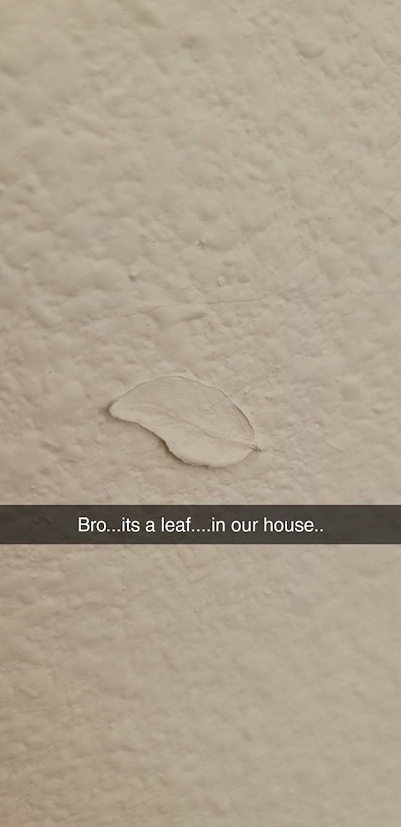 5. List na nečijem zidu