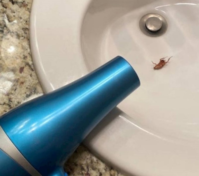 Ova nesretnica krenula je sušiti kosu, a iz fena je ispao žohar