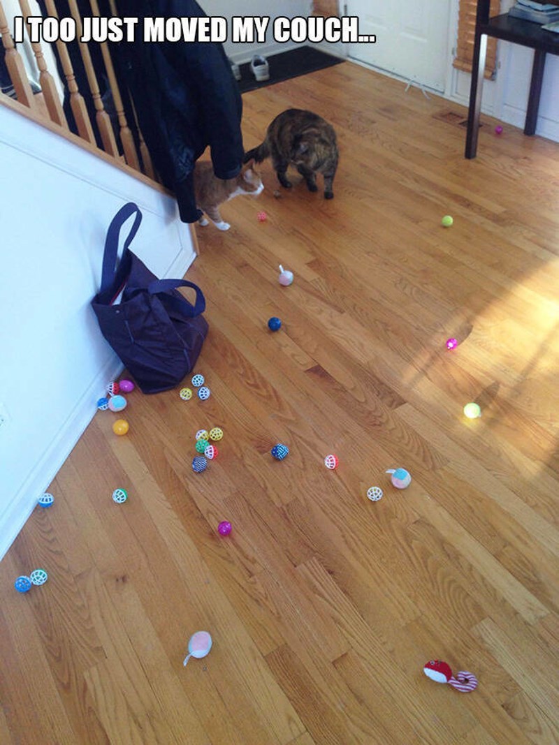 5. Upravo sam pomaknuo svoj kauč