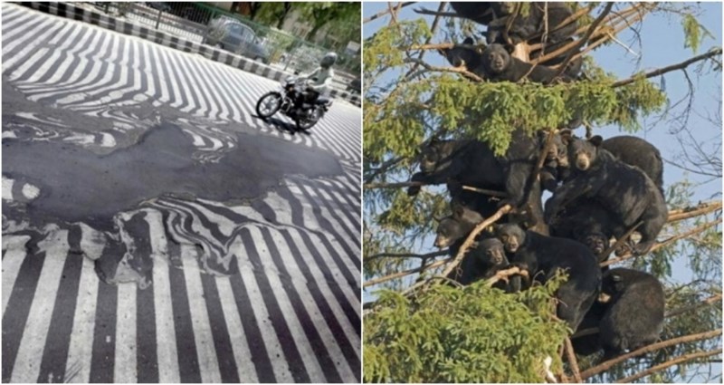 19 fotki koje će vas podsjetiti da je naš svijet pun misterija i zanimljivih prizora