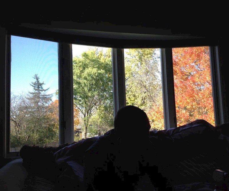 9. Pogled na dvorište kroz ovaj prozor izgleda kao pogled u 4 različita godišnja doba