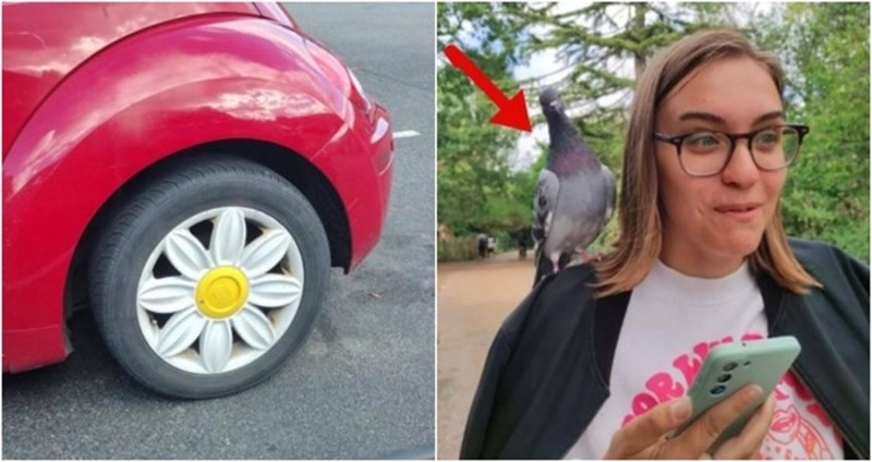 17 iznenađujućih prizora koje ovi ljudi još dugo neće moći zaboraviti