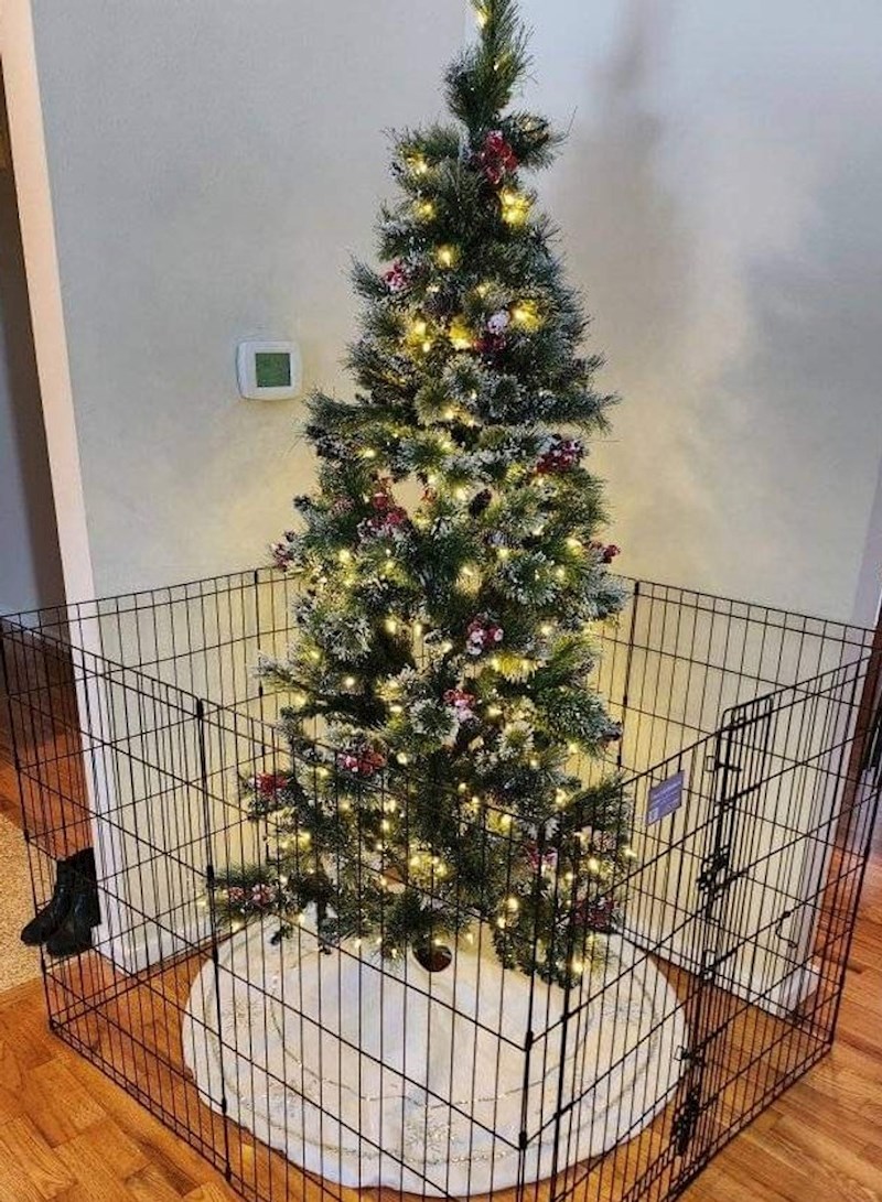 15. Evo kako su zaštitili svoju jelku od kućnih ljubimaca