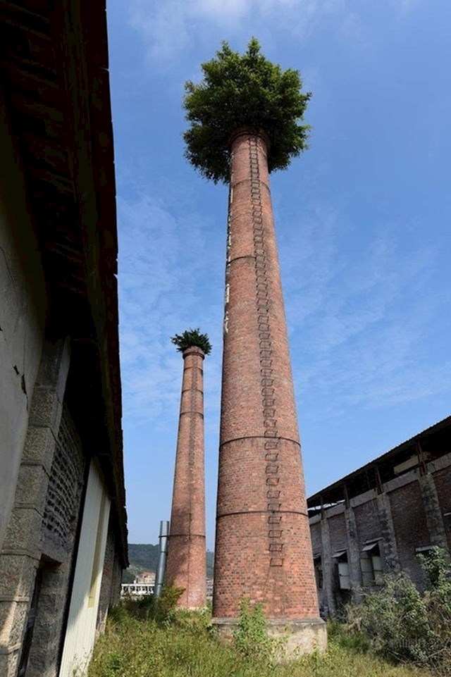 4.