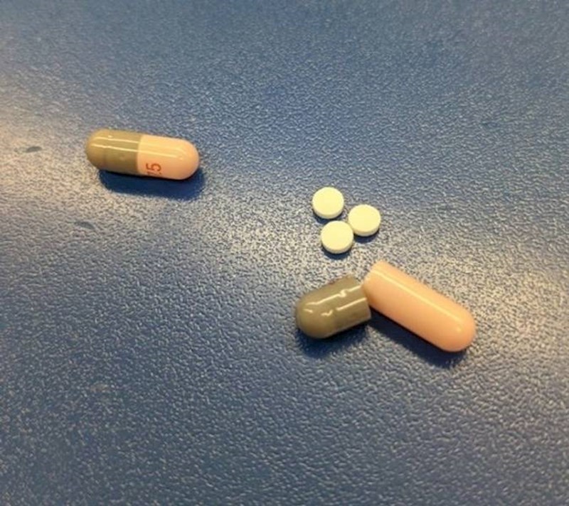 4. Unutrašnjost pilule