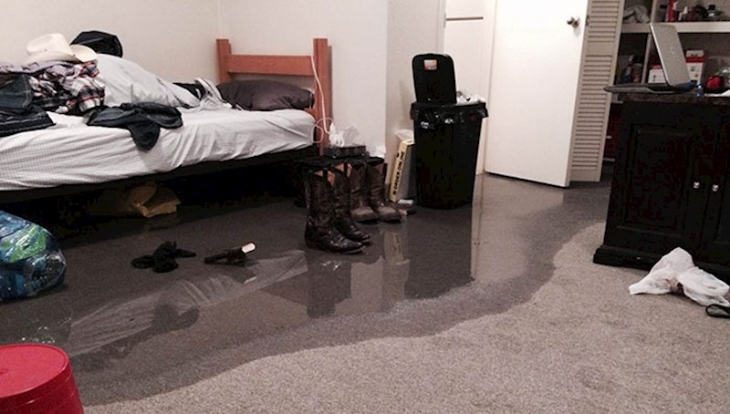 12. Cimerica je ostavila slavinu u kuhinji otvorenu da odledi neko meso i otišla do dućana. Ovo je moja soba.