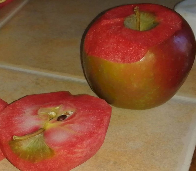 18. Jabuka s crvenim "mesom"