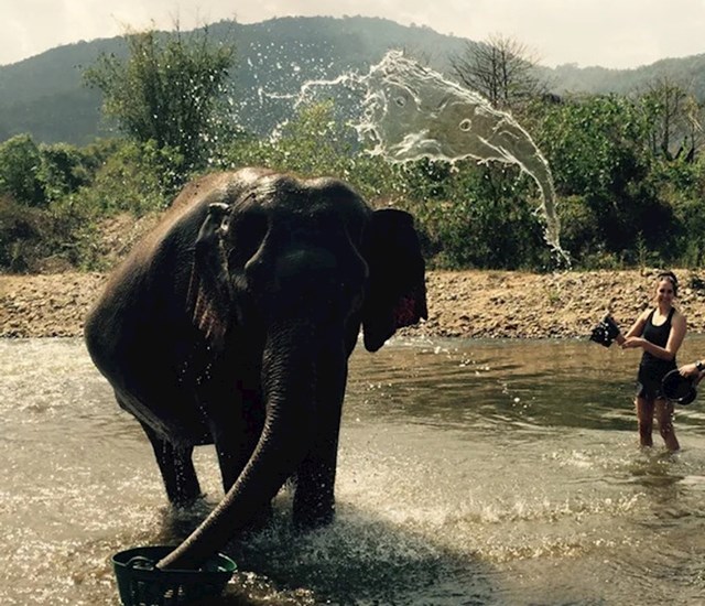 10. Vidite li drugog slona u kapljicama vode? 😄