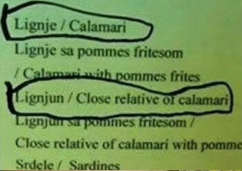 Lignjun, ili po ovom prijevodu bliski rođak lignje 😂