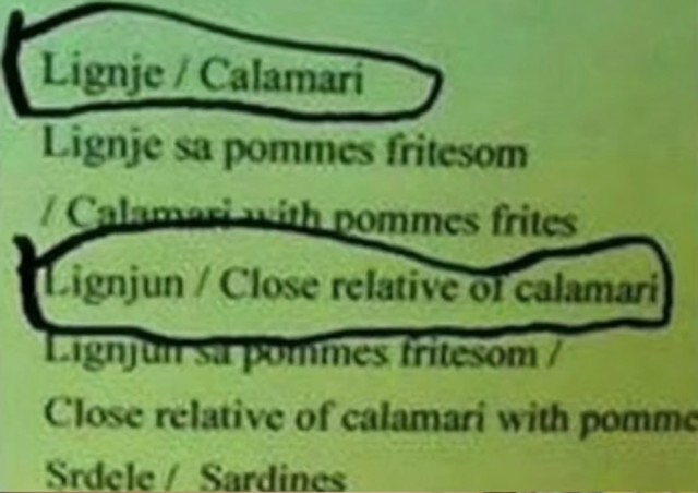 Lignjun, ili po ovom prijevodu bliski rođak lignje 😂
