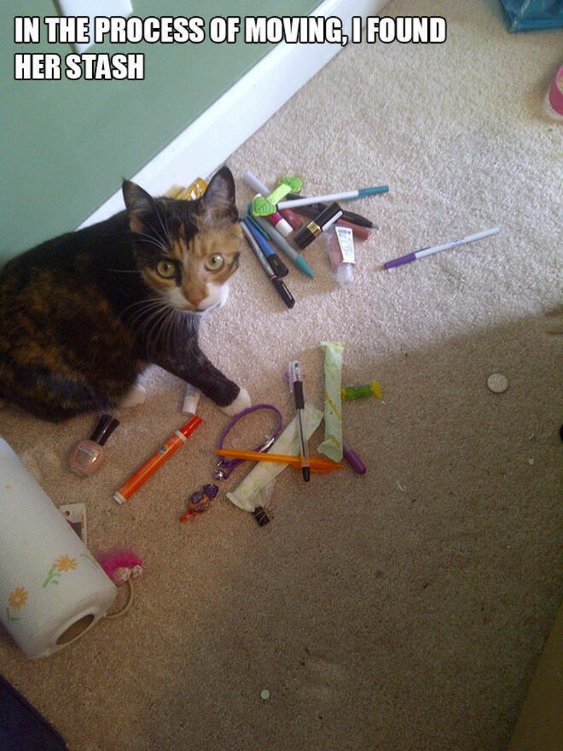 10. U procesu selidbe, pronašla sam njezinu kolekciju