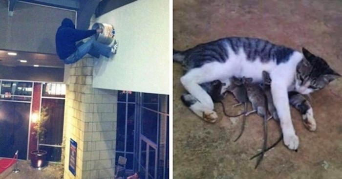 15 apsurdnih fotografija na kojima nešto definitivno nije u redu