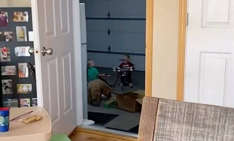 Snimka blizanaca koji imaju svoj mali bend dirnula je milijune diljem svijeta, oduševit će vas