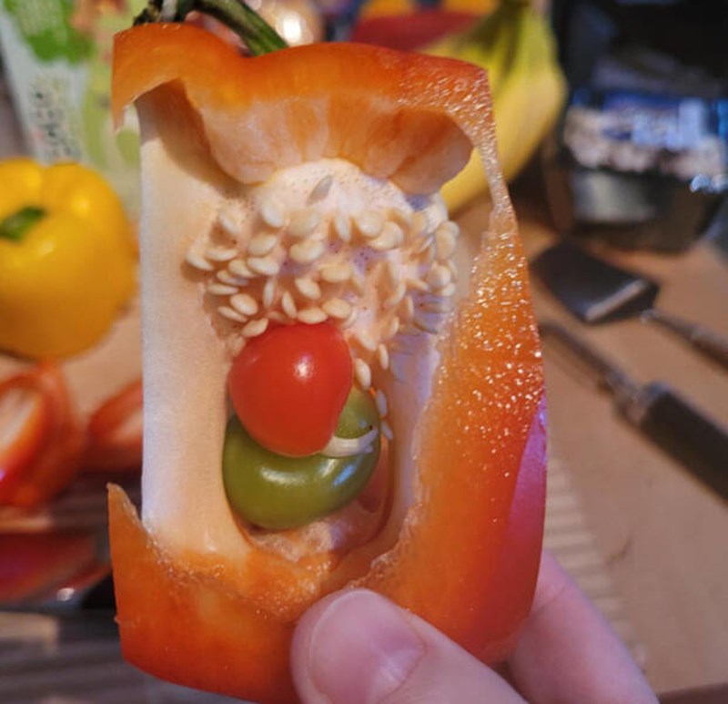 14. Paprika unutar koje rastu dvije nove male paprike