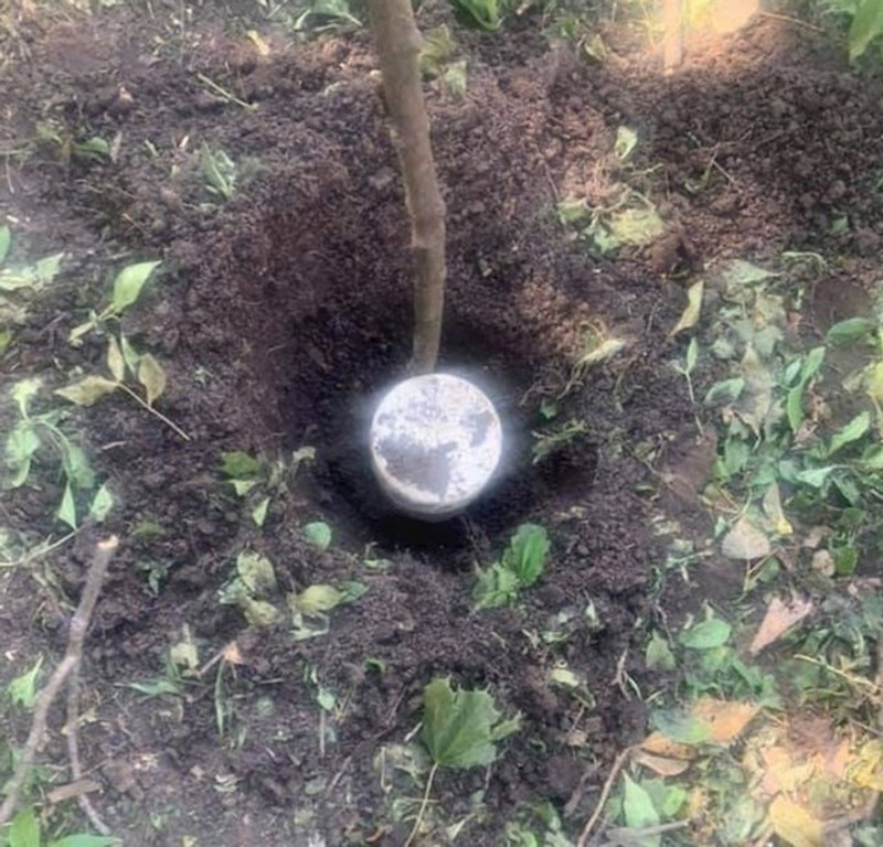 10. Djeluje kao da je netko zakopao Mjesec