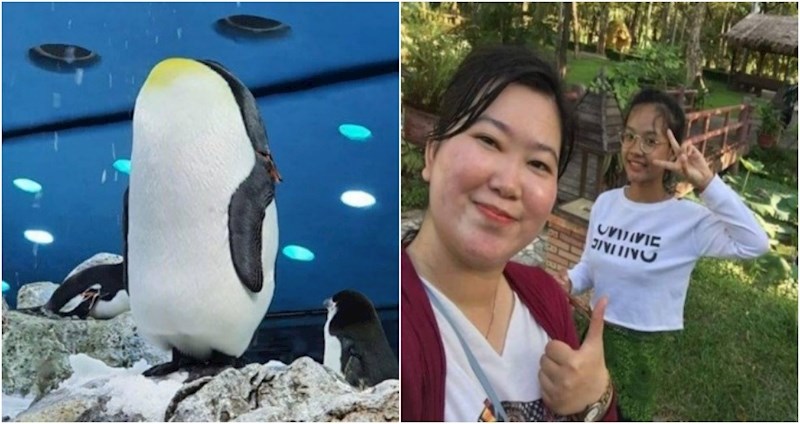 15 zbunjujućih fotki koje ćete morati dobro analizirati da bi ih prokužili