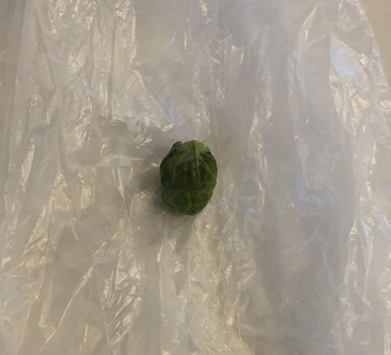 3. Naručila je kilu prokulica, dostavljena joj je samo jedna