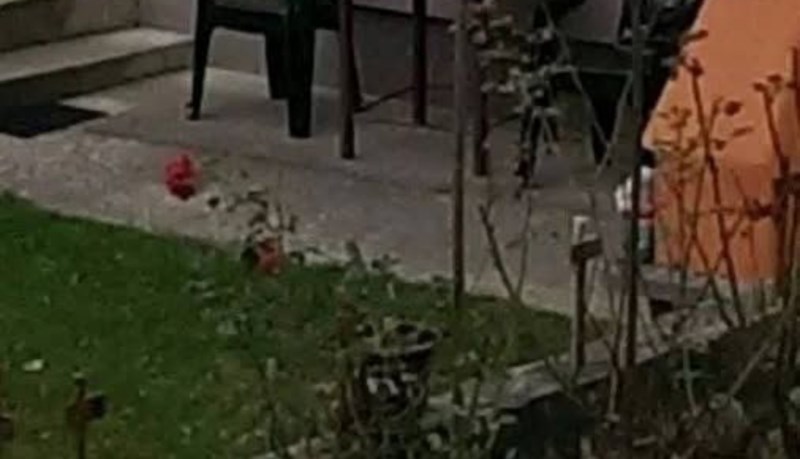 Prizor iz nečijeg dvorišta nasmijao je ekipu na FB-u, morate vidjeti što ljudi koriste umjesto stola