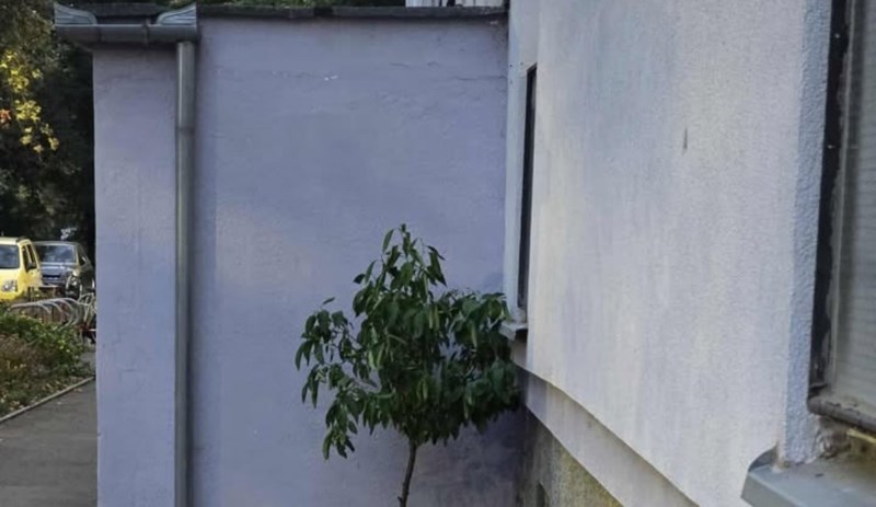 Prolaznik je pred stambenom zgradom slikao nesvakidašnji prizor, morate vidjeti ovaj hit