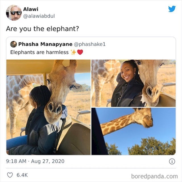 Misli da je žirafa slon