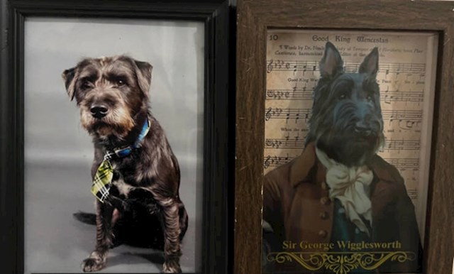 4. Lijevo je moj pas, a desno random fotka iz second hand shopa, ali svima govorim da je to djed moga psa