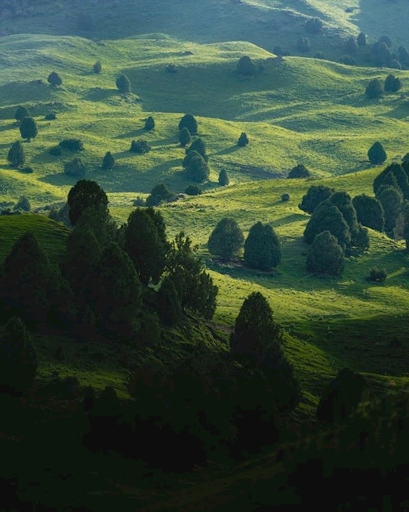 14. "Međuzemlje ipak postoji!"