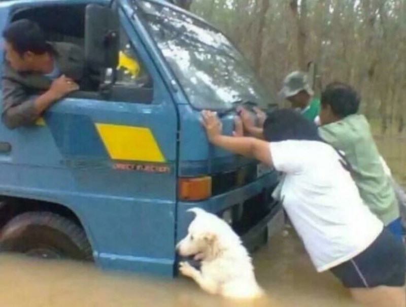 27. Želim i ja pomoći!