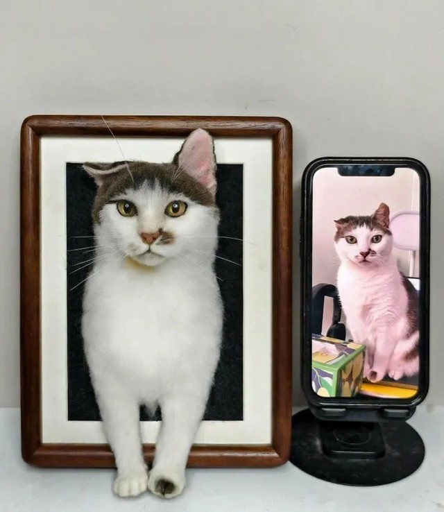 Vuneni portret ljubimca