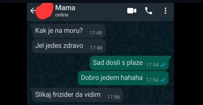 Mama je pitala sina hrani li se zdravo na moru, morate vidjeti sliku frižidera koju joj je poslao