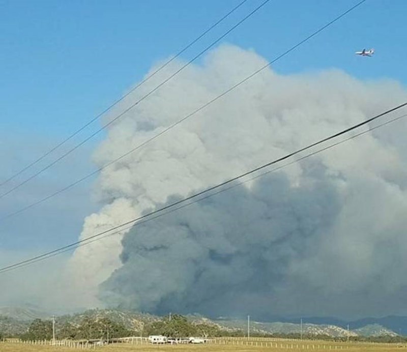 5. Dim od požara izgleda kao starac i njegov pas