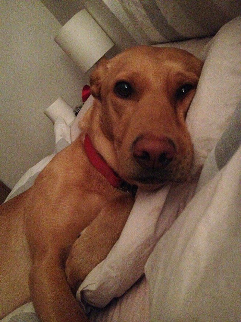 1. Zaboravio sam da je moja žena na putu i doživio šok kad sam se ujutro okrenuo da ju poljubim