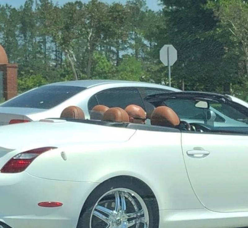 14. Glava se savršeno uklopila 🤣