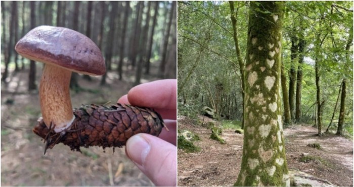 17 puta kad je priroda priredila fantastične prizore koje ćete teško zaboraviti
