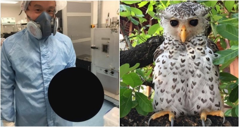 15 prizora koji su istovremeno zbunjujući i prezabavni