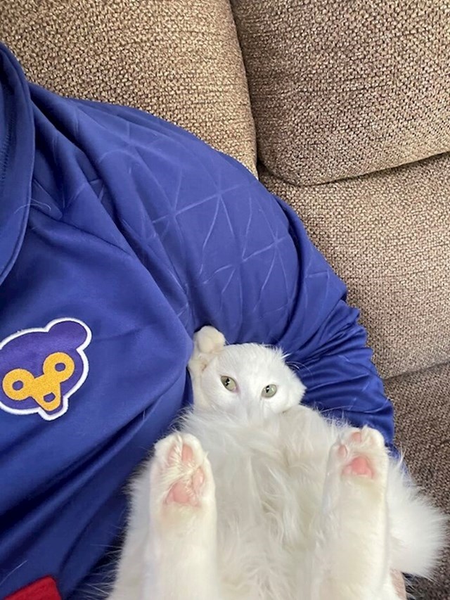 17.