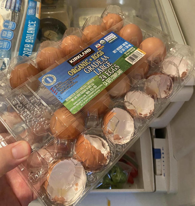 13. Moja žena misli da je ok spremiti ljuske od jaja natrag u kutiju