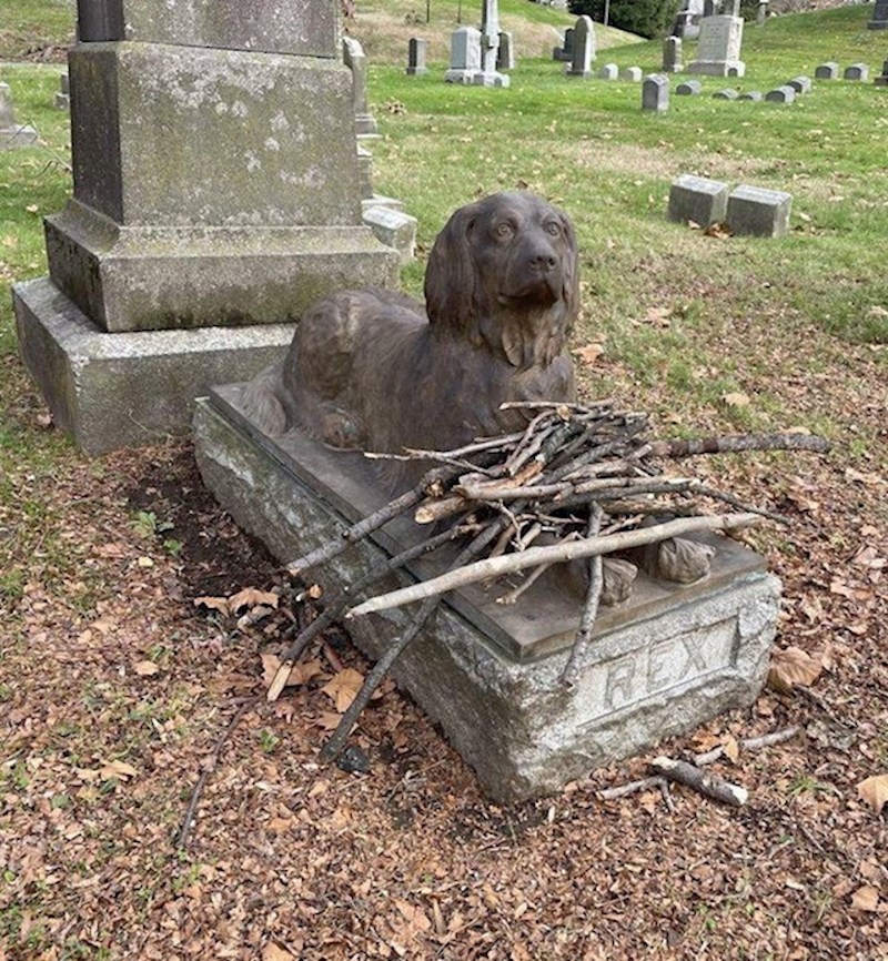 6. Umjesto cvijeća, ljudi na grob ovoga psa donose štapove