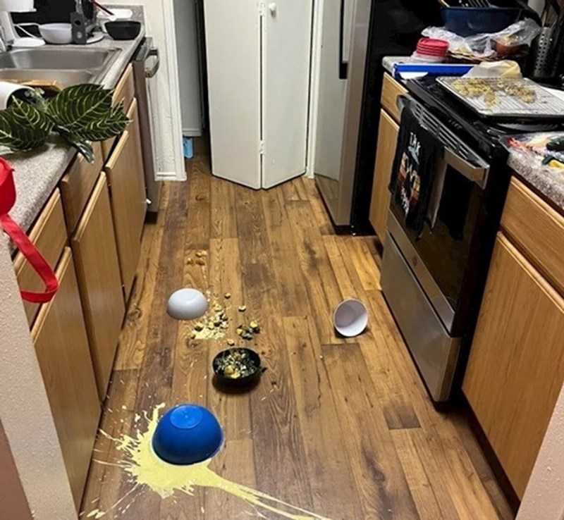 Došla sam kasno s posla i odlučila pripremiti večeru. Moja mačka nije odobrila tu ideju.