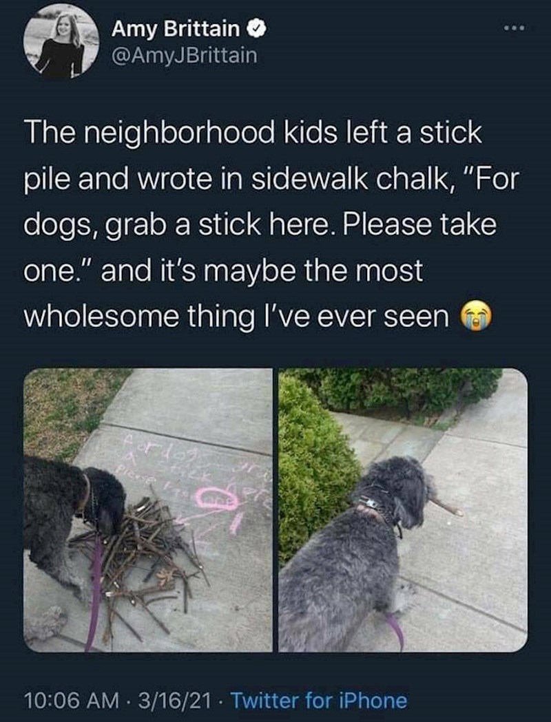 6. Djeca iz jednog kvarta ostavila su hrpu štapova i napisali kredom: "Za pse, slobodno uzmite štap!"