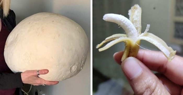 20 čudnih i rijetkih stvari koje izgledaju kao da su ispale iz nekog drugog svijeta