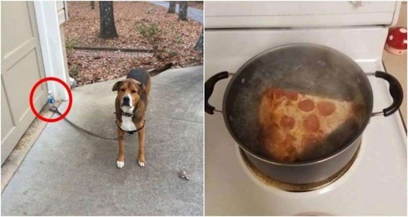 Ljudi na Redditu dijele fotke najčudnijih prizora koje su vidjeli u zadnje vrijeme, izdvajamo ih 15