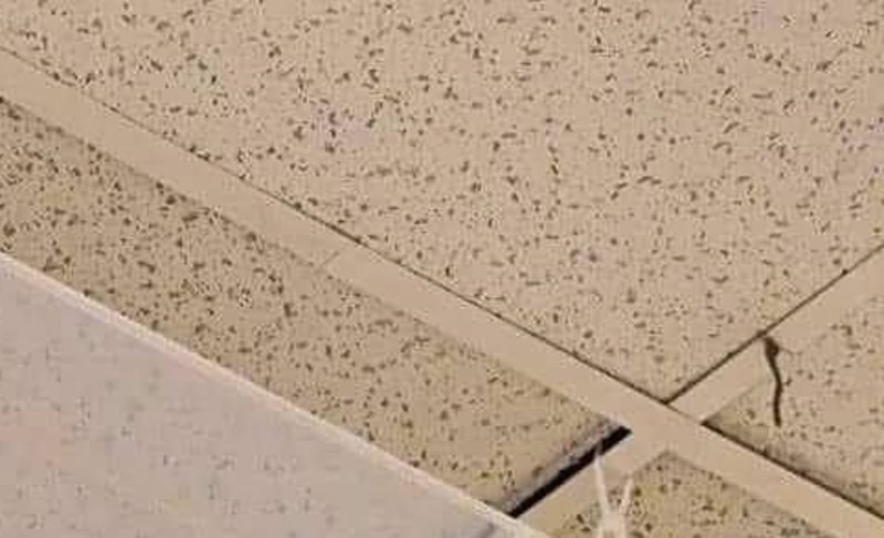 Prizor iz jedne škole u BiH izazvao je salve smijeha, morate vidjeti u čemu drže projektor