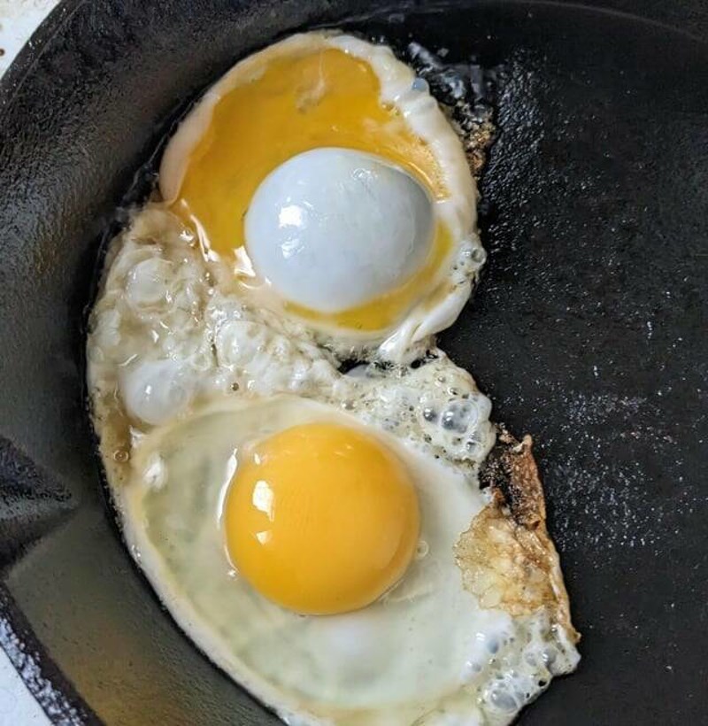 11. A kladimo se da nikad niste vidjeli niti jaje kojemu su žutanjak i žumanjak zamijenjeni