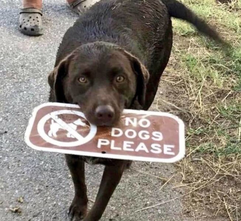 20. Još jedan kršitelj pravila