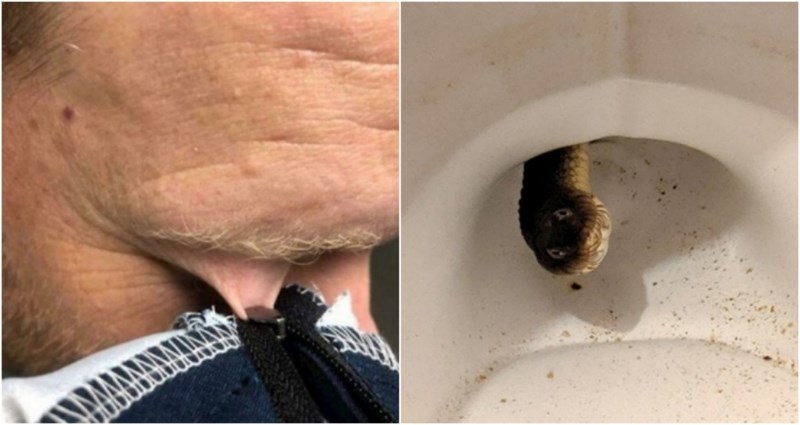 25 fotki ljudi koji su definitivno imali gori dan nego vi