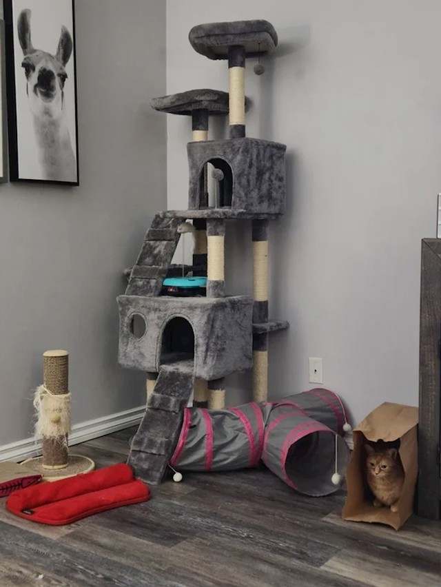 12.