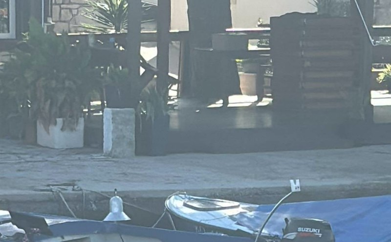 Dalmatinac je barci dao nesvakidašnje ime, fotka je odmah postala hit na popularnoj FB stranici