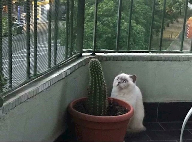 1.