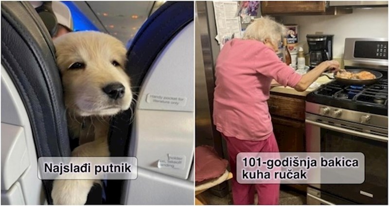 15 fotki koje su slađe od šećera