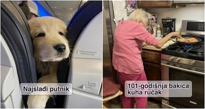 15 fotki koje su slađe od šećera